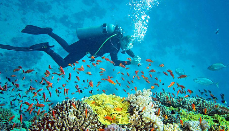 andaman scuba diving spots,best scuba diving locations in andaman,scuba diving experiences andaman,top dive sites in andaman,andaman underwater adventures,diving excursions andaman islands,andaman diving destinations,scuba diving tours andaman,explore underwater andaman,andaman diving tips