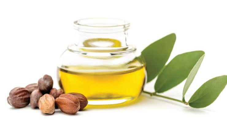 jojoba oil,beauty benefits of jojoba oil,beauty tips,skin care tips