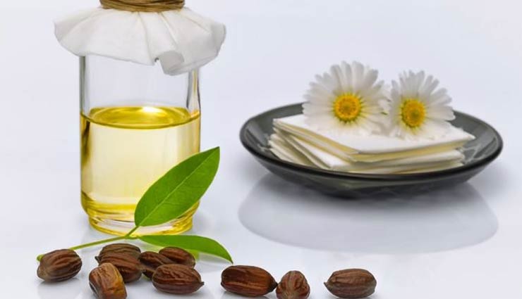 jojoba oil,beauty benefits of jojoba oil,jojoba oil for skin and hair,skin care tips,hair care tips