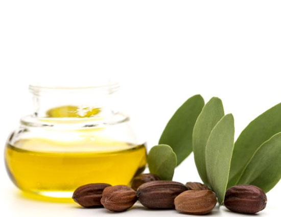 Jojoba Oil is The Best Remedy For All You Hair Problems