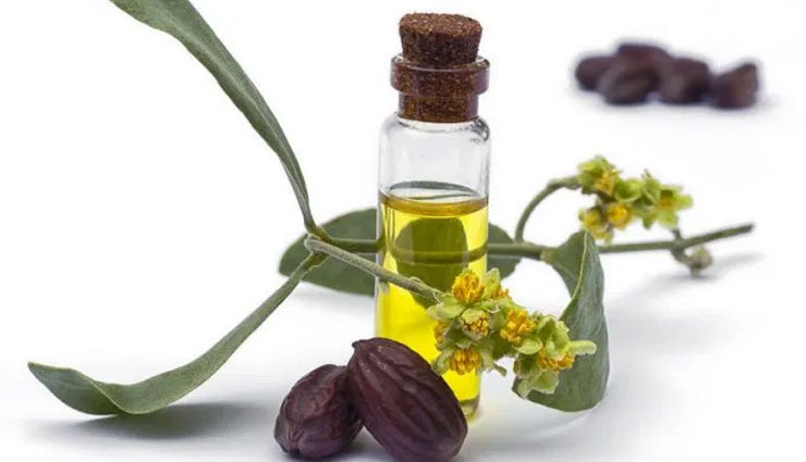 5 Beauty Benefits of Using Jojoba Oil