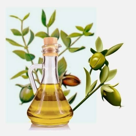 jojoba oil,beauty benefits of jojoba oil,beauty tips,skin care tips