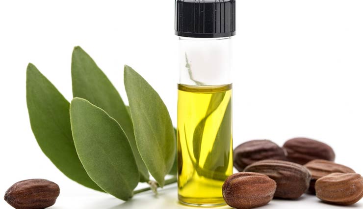 jojoba oil,beauty benefits of jojoba oil,jojoba oil for skin and hair,skin care tips,hair care tips