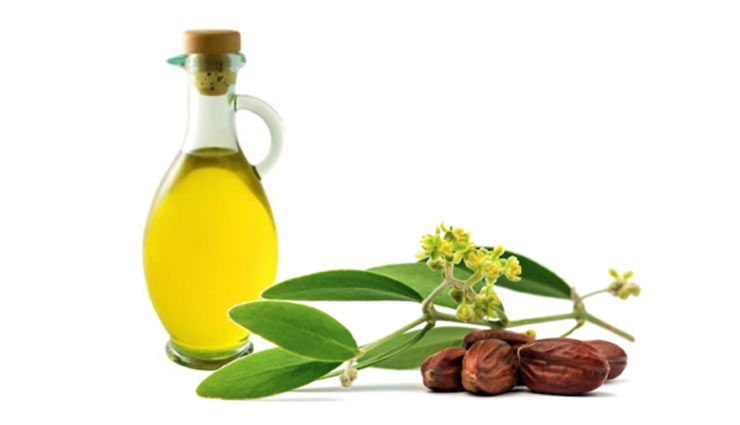 homemade jojoba oil face mask,face mask for glowing skin,skin care tips,beauty benefits of jojoba oil,skin care tips,beauty tips