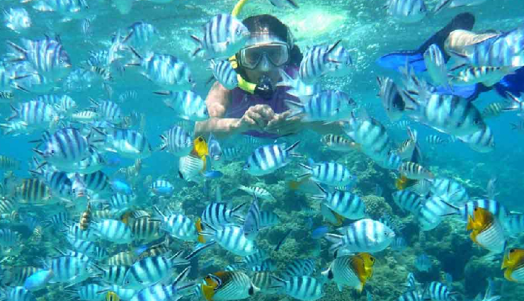 port blair attractions,andaman tourism,cellular jail memorial,marina park and aquarium,aberdeen bazaar shopping,jolly buoy island snorkeling,corbyn’s cove beach activities,andaman sightseeing,port blair landmarks,port blair travel tips