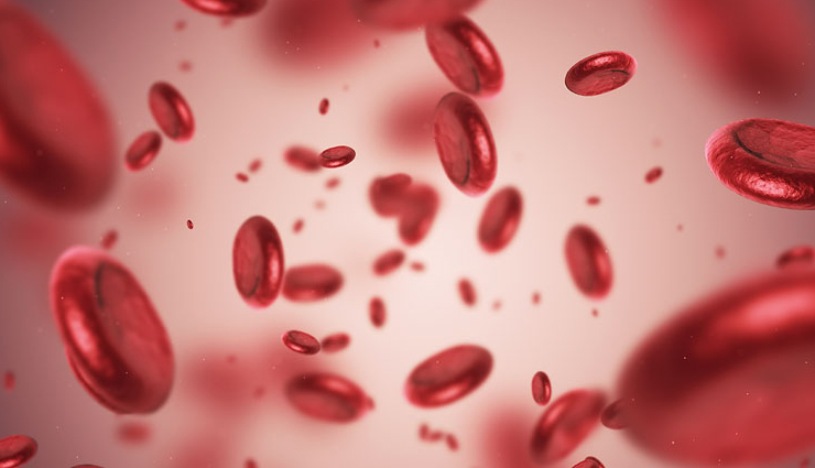 health benefits of jowar flour,jowar flour,Health tips,fitness tips