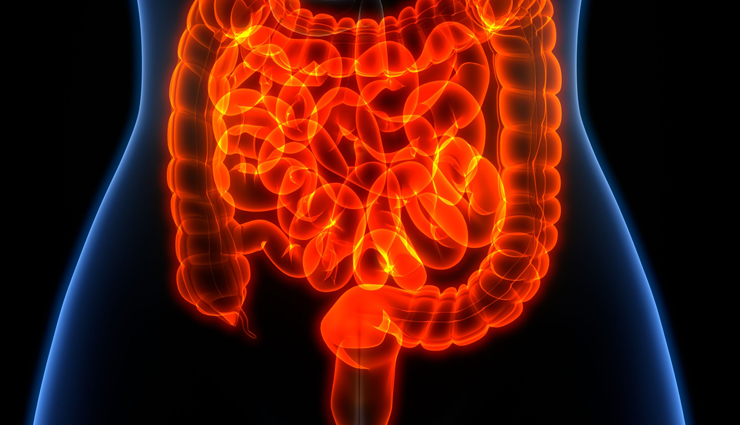 health benefits of jowar flour,jowar flour,Health tips,fitness tips