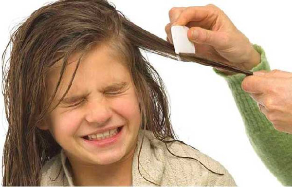 lice in hair,Health tips,healthy living,removing lice tips
