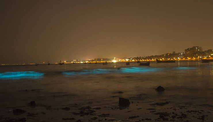 सपनो के शहर मुंबई के है ये 7 दर्शनीय स्थल, जो दिलाते है सुकून का एहसास mumbai,places to visit in mumbai,india,holidays,travel