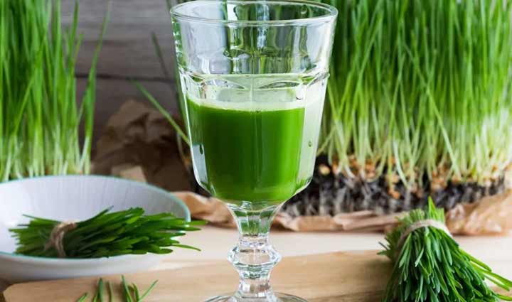 Recipe- Full of Nutrients Wheatgrass Juice