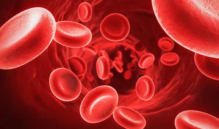 सर्दियों की सुपरड्रिंक बनेगा चुकंदर का जूस, सेवन से शरीर को मिलेंगे ये फायदे beetroot juice benefits in winter,winter superdrink: beetroot juice,health advantages of drinking beet juice in cold weather,beetroot juice for winter wellness,boost immunity with beetroot juice,cold season health benefits of beet juice,nutrients in beetroot juice for winter,winter body benefits of consuming beet juice,why beetroot juice is a winter superfood,winter detox with beetroot juice,antioxidants in beet juice for winter health,beetroot juice recipes for cold weather,immune-boosting properties of beet juice,winter energy drink: beetroot juice,beet juice for cold prevention,winter nutrition with beetroot juice,homemade beetroot juice for winter,beet juice and seasonal health,beetroot elixir for winter well-being,drinking beet juice for winter vitality