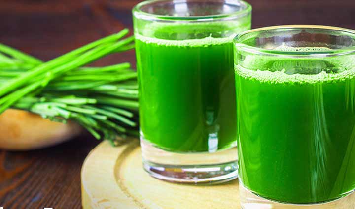 full of nutrients wheatgrass juice,food,easy recipe
