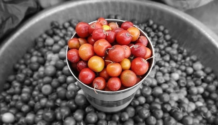 amazing health benefits of jujube,jujube fruit benefits,chinese date health benefits,red date nutrition,jujube for sleep,jujube for immunity,jujube for digestion,jujube for skin,jujube antioxidants,jujube medicinal uses,jujube superfood,jujube for stress relief,jujube for anxiety,jujube vitamins and minerals,jujube traditional medicine