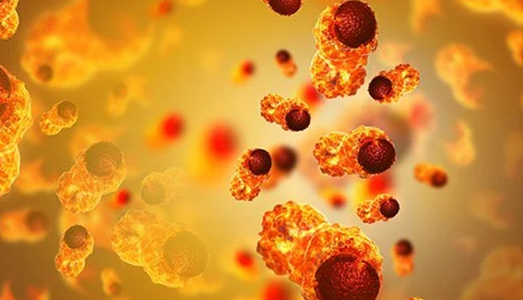 jujube fruit,health benefits,antioxidants,immune system,digestive health,fiber,constipation,diarrhea,blood pressure,heart health,anti-inflammatory,blood sugar control,cholesterol levels,liver health,skin health,nutrient-dense,vitamin c,iron,calcium,safe consumption