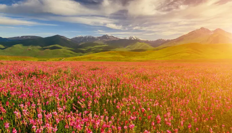 valley of flowers,cherrapunji,coorg,kerala,lonavala,destination in india,places to visit in july in india,india