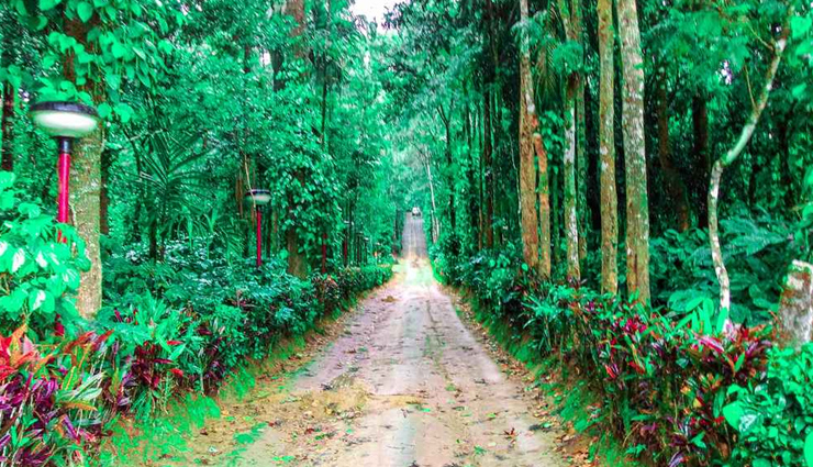valley of flowers,cherrapunji,coorg,kerala,lonavala,destination in india,places to visit in july in india,india