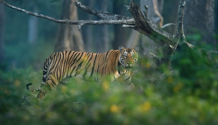karnataka,places to visit in karnataka,monsoon destination in karnataka,ranganathittu bird sanctuary,nandi hills,brindavan gardens,nagarhole sanctuary,coastal karnataka