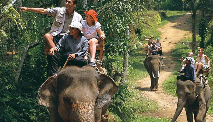 लेना चाहते हैं जंगल के सफर का मजा, एडवेंचर से भरपूर हैं देश की ये 10 जगहें 