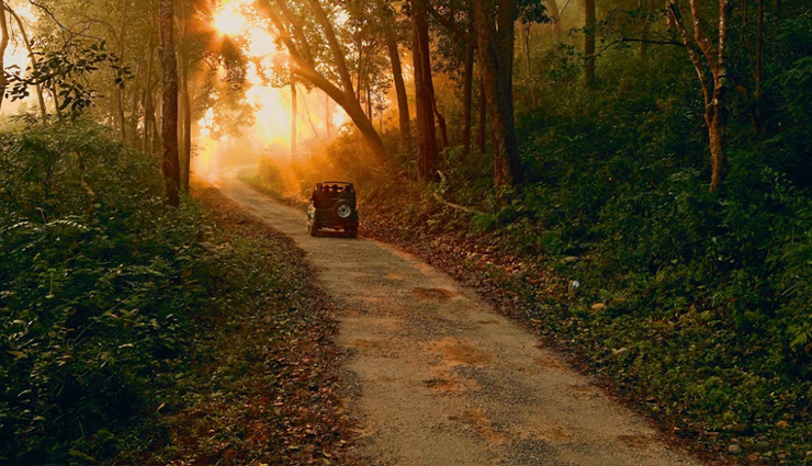 jim corbett,jim corbett national park,jim corbett safari,travel