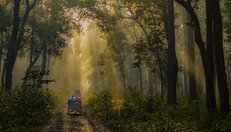 7 Less Explored Jungle Trails in Uttarakhand