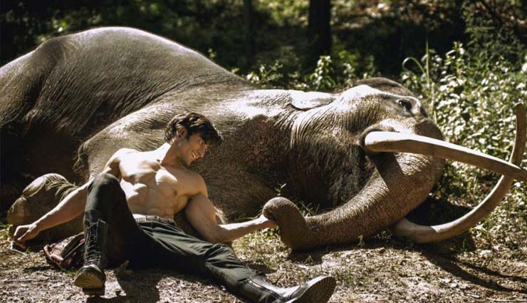 vidhyut jammwal,junglee,junglee poster,junglee poster released,bollywood,bollywood news hindi,bollywood gossips hindi