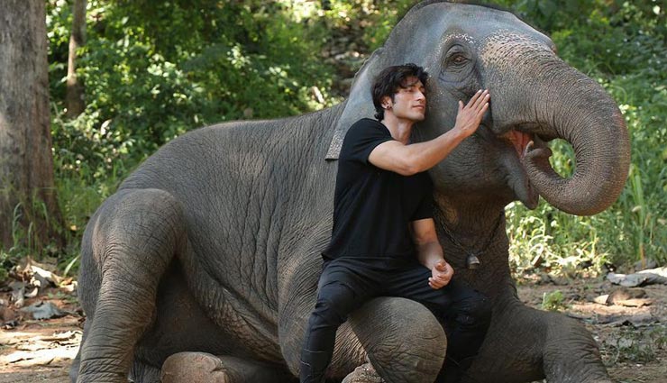 vidyut jamwal,junglee,junglee box office report,vidyut jamwal movies,vidyut jamwal news,bollywood,bollywood news hindi,bollywood gossips hindi