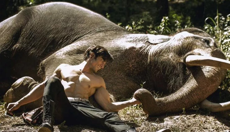 vidyut jammwal,pooja sawant,junglee,junglee release date,junglee release date changed,bollywood,bollywood news hindi,bollywood gossips hindi