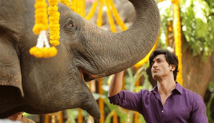 vidyut jammwal,junglee,junglee trailer released,junglee movie,vidyut jammwal movie,bollywood,bollywood news hindi,bollywood gossips hindi