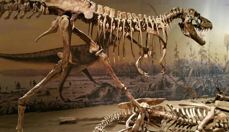 destinations for jurassic park fans,dino park,rehburg-loccum,germany,parque cretácico,sucre,bolivia,multiple locations on kauai,hawaii,royal tyrrell museum,alberta,canada