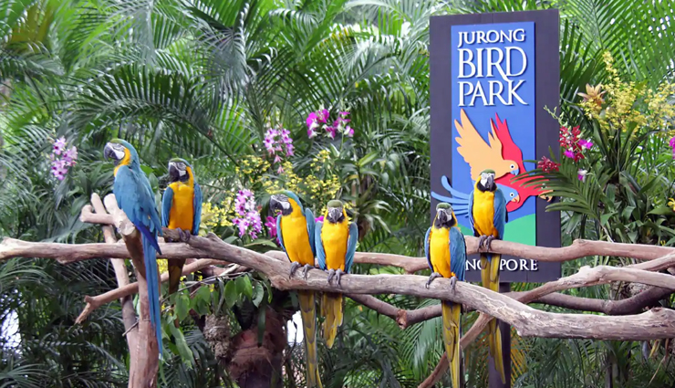 singapore,singapore travel restrictions,singapore travel bubble,singapore travel guide,singapore travel quarantine,singapore travel package,singapore travel visa,singapore travel advisory,singapore travel advice,singapore travel agency,the traveller singapore,singapore travel covid,singapore travel during covid,singapore travel destination,singapore travel declaration,singapore travel entry restrictions,singapore travel from india,singapore travel facts,singapore travel guidelines,singapore travel guide covid,singapore travel history,singapore travel information,singapore travel itinerary