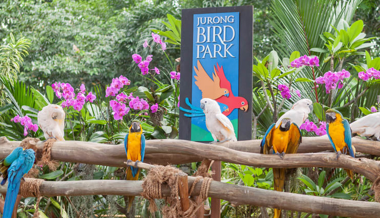 भारतियों की पसंदीदा जगह हैं सिंगापुर, जानें यहां घूमने लायक पर्यटन स्थल singapore,singapore tourist destination,tourist places in singapore,holidays in singapore,international tourist destinations