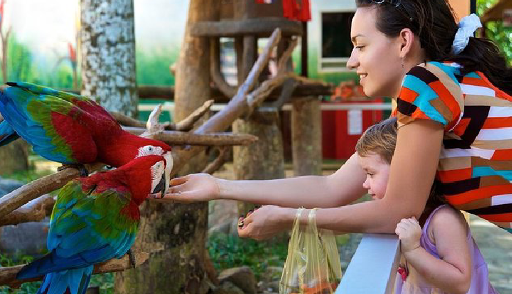 kids activities in singapore,family fun singapore,singapore with kids,child-friendly singapore attractions,fun things for kids in singapore,singapore family entertainment,playful experiences in singapore,kids playgrounds singapore,educational fun in singapore,child-friendly adventures singapore,playful learning in singapore,singapore family outings,kids play zones in singapore,interactive activities for kids,entertaining kids in singapore,singapore family destinations,unique kids experiences singapore,fun places for families singapore,creative kids activities singapore