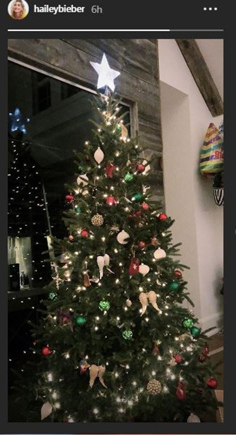 justin bieber,hailey baldwin,christmas together,entertainment news