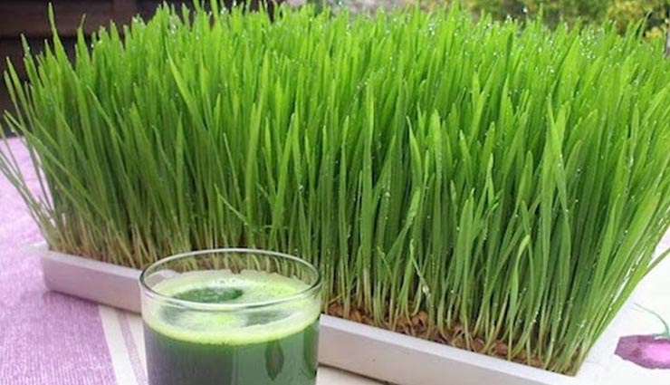 young,Health tips,healthy living,health benefits