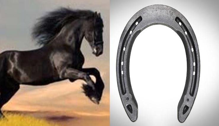 काले घोड़े की नाल बचाती है आपको शनि के प्रकोप से, जानें इसके ज्योतिषीय फायदे