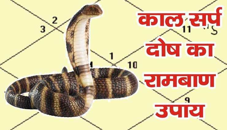 कहीं आप पर तो भारी नहीं हो रहा कालसर्प दोष, लक्षण जान करें ये उपाय astrology tips,astrology tips in hindi,kaalsarp dosh,kaalsarp dosh remedies