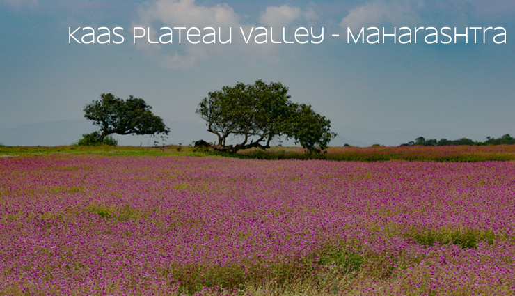 beautiful valleys to visit in india,india valleys,india beautiful valleys,travel,holidays