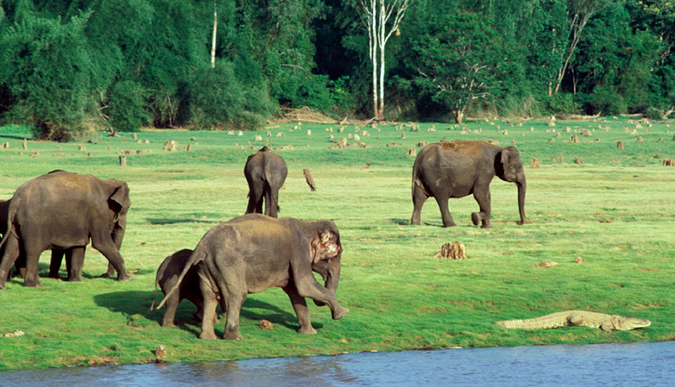 honeymoon destinations in karnataka,karnataka tourism,tourist places in karnataka,coorg,bangalore,mysore,halebeedu,chikmagalur,kabini,gokarna,mangalore,travel,holidays,travel guide,holiday tips