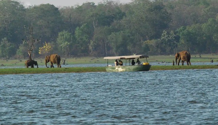 nagarhole,places to visit near nagarhole,coorg tourism,wayanad attractions,mysore sightseeing,bandipur national park safari,ooty hill station,kabini river,madikeri travel,mudumalai national park,sakleshpur,shravanabelagola