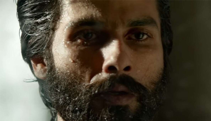 shahid kapoor,kabir singh,kabir singh 200 crore,kabir singh box office report,kabir singh box office collection,bharat,bharat box office,Salman Khan,uri,vicky kaushal,ranveer singh,deepika padukone,entertainment,bolywood
