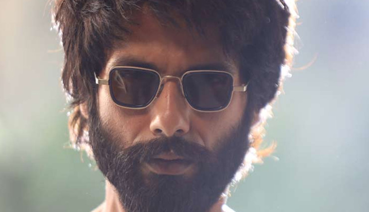 300 करोड़ मुश्किल में, 4थे सप्ताह में वर्ष की सबसे ज्यादा कमाई वाली फिल्म बनी ‘कबीर सिंह’