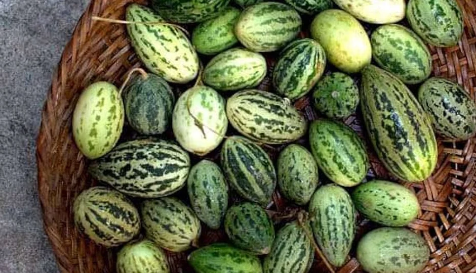 कचरी: नाम तो साधारण है, लेकिन सेहत के लिए है वरदान, जानें इसके चौंकाने वाले फायदे