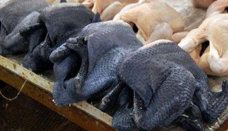 kadaknath cock,controversy,powerful,medicine,kamalnath sarkar,mp,news,news in hindi