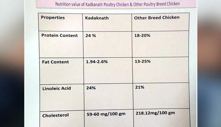 kadaknath cock,controversy,powerful,medicine,kamalnath sarkar,mp,news,news in hindi