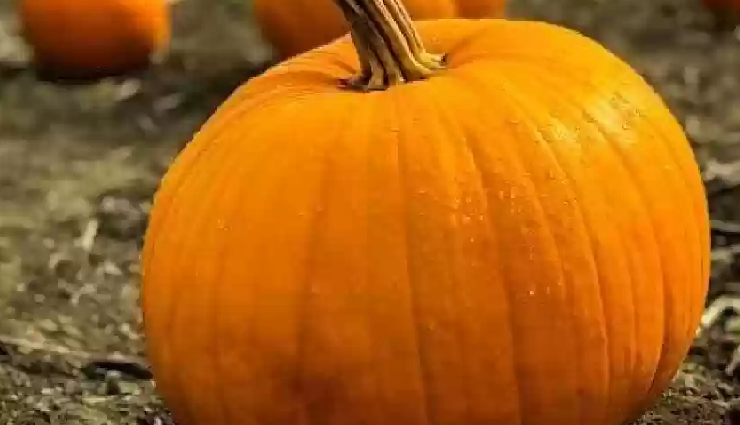 मीठे के रूप में जबरदस्त चीज है बनारसी हलवा, मेजबान-मेहमान सबको जरूर आएगा पसंद #Recipe banarasi halwa recipe,unique taste banarasi halwa,how to make banarasi halwa,authentic banarasi halwa recipe,homemade banarasi halwa,delicious banarasi halwa recipe,banarasi halwa preparation,traditional banarasi halwa recipe,banarasi halwa cooking method,banarasi halwa ingredients