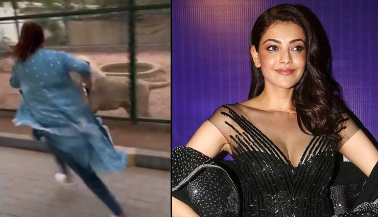 काजल अग्रवाल ने अपने जन्मदिन पर शेरों संग लगाई दौड़, देखें वीडियो