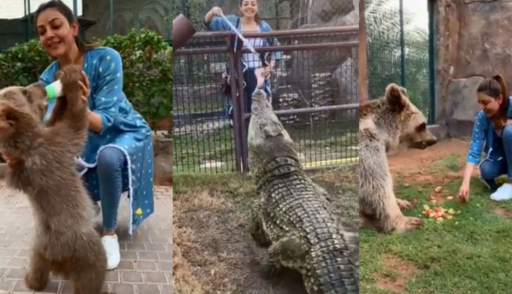 kajal aggarwal,singham,kajal aggarwal birthday,ajay devgan,actress kajal aggarwal ucoming movies,entertaiment,bollywood