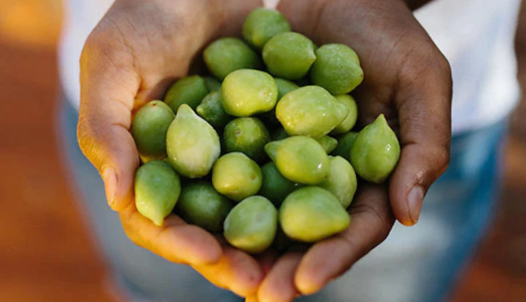 6 Benefits of Kakadu Plum on Your Health