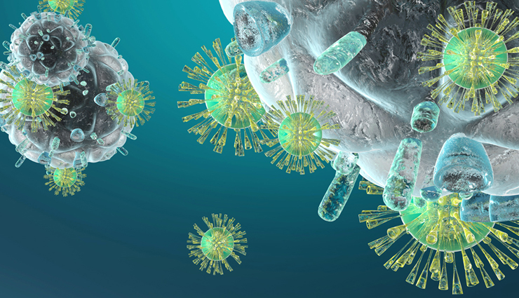 kakadu plum health benefits,benefits of kakadu plum,kakadu plum nutritional value,kakadu plum uses,kakadu plum medicinal properties,kakadu plum cosmetic benefits,australian kakadu plum benefits,kakadu plum fruit uses,kakadu plum extract benefits,kakadu plum skin benefits,kakadu plum antioxidant benefits,kakadu plum vitamin c content,kakadu plum indigenous uses,kakadu plum traditional medicine,kakadu plum for immune support,kakadu plum dietary benefits,kakadu plum for skincare,kakadu plum hair benefits,kakadu plum extract in cosmetics,kakadu plum natural remedies