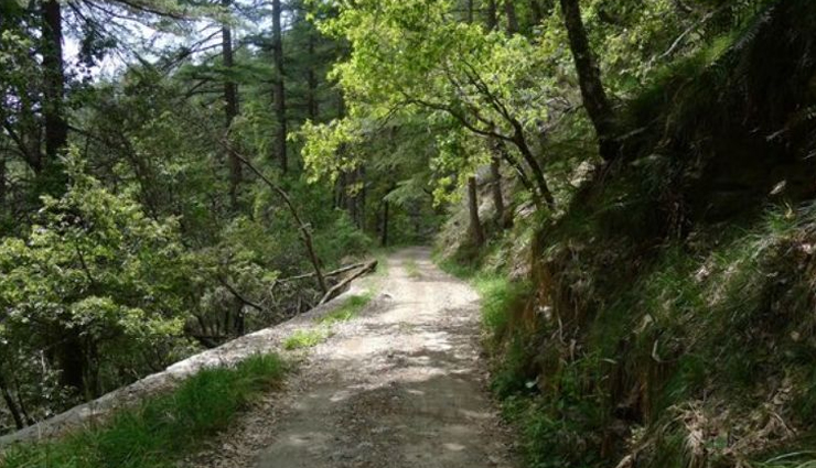 trekking near shimla,best trekking routes shimla,top trekking spots near shimla,jakhoo hill trek shimla,tara devi temple trek,naldehra trek shimla,kasauli trekking trails,fagu trek shimla,chadwick falls trek shimla,mashobra trek routes,churdhar trek details,kiala forest trek shimla,annandale trek shimla,trekking guide shimla,easy treks near shimla,adventure treks shimla,scenic treks shimla,family-friendly treks shimla,weekend trekking shimla,trekking destinations shimla,hiking trails near shimla,popular treks near shimla,trekking places himachal pradesh,trekking with kids shimla,shimla trekking experience,shimla nature treks,best trekking seasons shimla,high altitude treks shimla,short treks near shimla,long treks near shimla,shimla trekking adventure,trekking in shimla hills,shimla trek tips,himalayan treks near shimla,nature walks shimla,shimla trek difficulty levels,scenic hiking shimla,shimla trek routes map,trekking tours shimla,best views trekking shimla